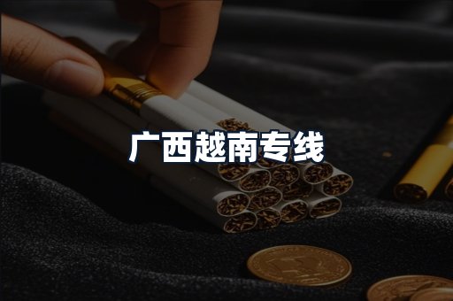 广西越南专线